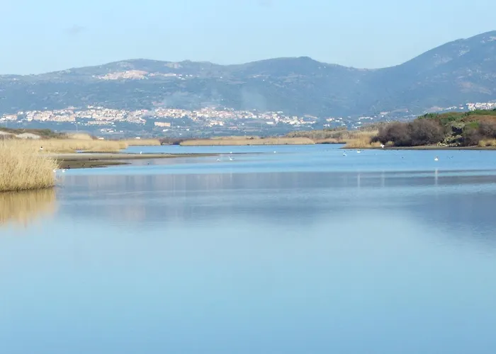 Daire La Gabbianella By Interhome Valledoria (Sardinia)